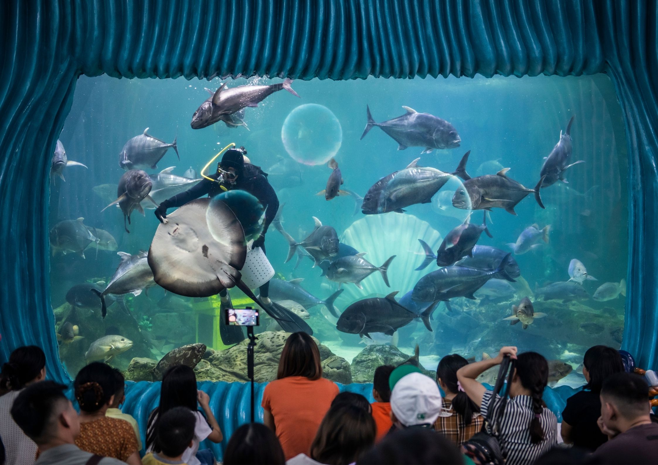Vé Thủy Cung Times City