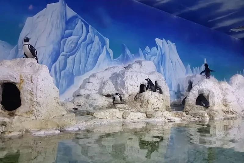 Vé Thuỷ Cung Times City giá rẻ nhất