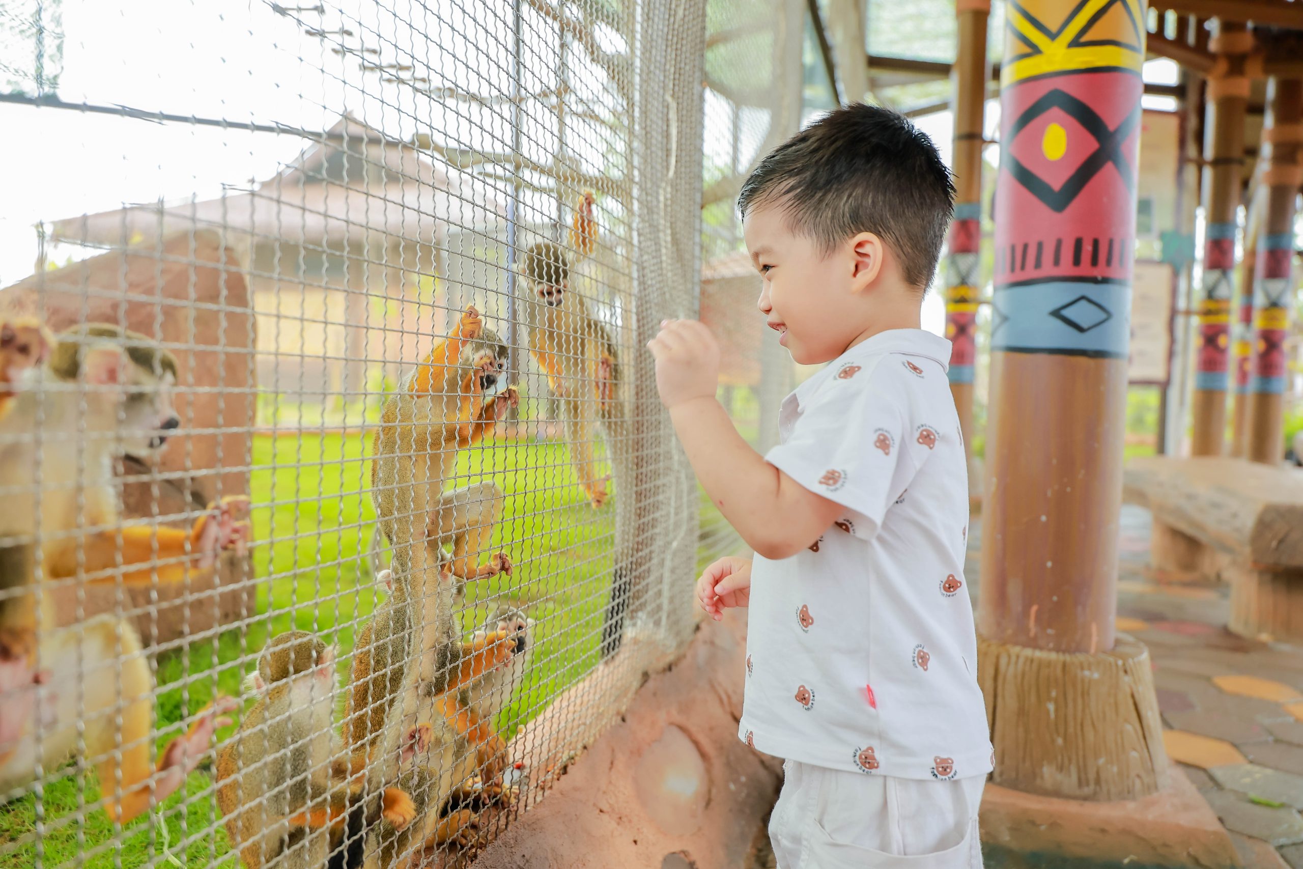 VinWonders Vũ Yên