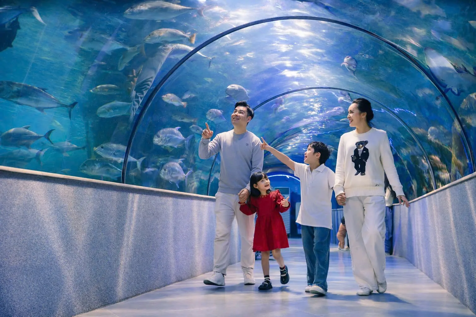 Vé Thuỷ Cung Times City giá rẻ nhất